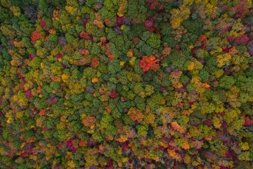 Asterisk Corporate Services Cyprus