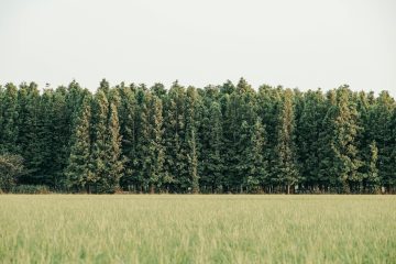 Asterisk Corporate Services - Cyprus Blue Card information