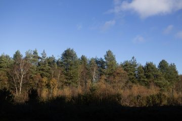 Asterisk Corporate Services - What to look when choosing a service provider