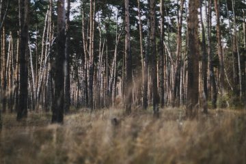 Asterisk article on 8% of crypto tax profits.