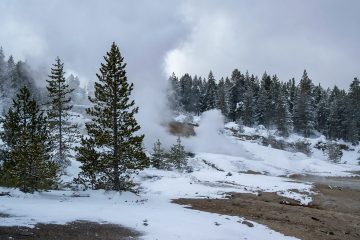 Top 5 Mistakes Entrepreneurs Make When Incorporating in Cyprus