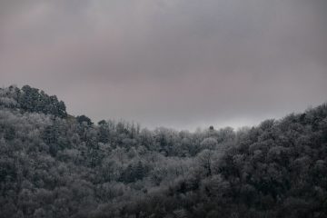 Asterisk Corporate Services Cyprus EU Presidency