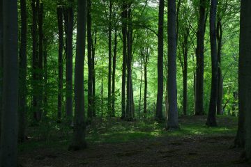 Cyprus Company Formation FAQ - Asterisk Corporate Services