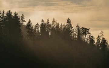 Cyprus Company Incorporation - Asterisk Corporate Services