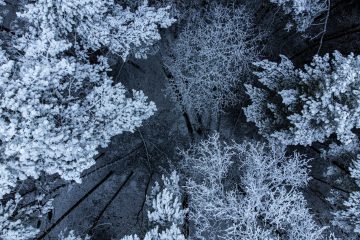 Cyprus TD59 Form - Asterisk Corporate Services