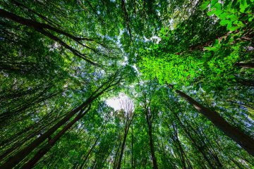 Cyprus Company Registration The Insider's Guide to Getting It Right - Asterisk Corporate Services