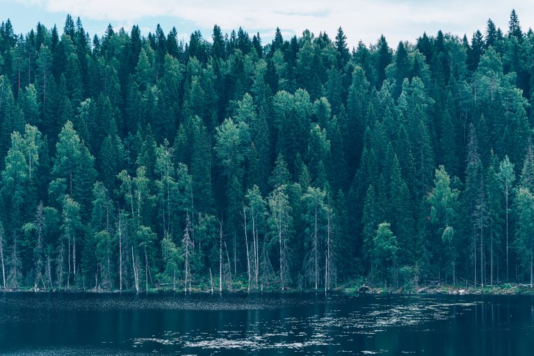 Asterisk Corporate Services - Nicosia Cyprus